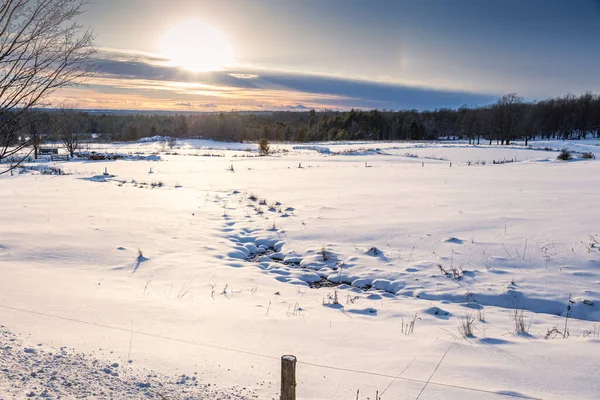 Frosty day in snowy area. Location place of Quebec Canada. Magnificent wintry wallpapers. Christmas holiday concept. Happy New Year Discover the beauty of earth.
