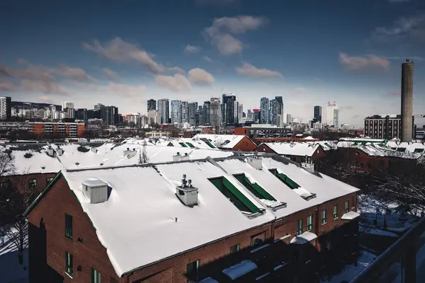 View on Montreal winter 2023 season