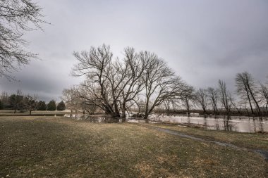 Kanada 2023 'teki kırsal bölgenin ilkbahar görüntüsü
