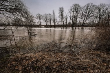 Kanada 2023 'teki kırsal bölgenin ilkbahar görüntüsü