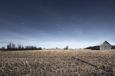 Quebec Kanada 'daki tarla çiftliği 2023