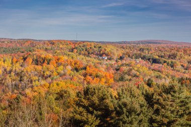 Sonbahar ormanlarında ağaçlarda renkli yapraklar, Coaticook, Kanada 2023