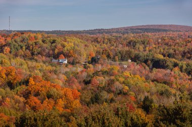Sonbahar ormanlarında ağaçlarda renkli yapraklar, Coaticook, Kanada 2023