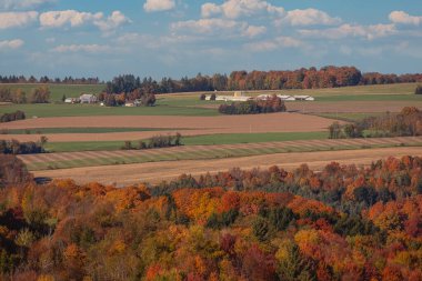 Sonbahar ormanlarında ağaçlarda renkli yapraklar, Coaticook, Kanada 2023
