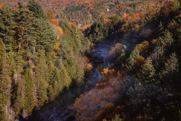 Sonbahar ormanlarında ağaçlarda renkli yapraklar, Coaticook, Kanada 2023