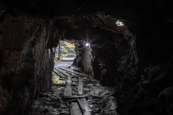 Sonbahar ormanlarında ağaçlarda renkli yapraklar, Coaticook, Kanada 2023