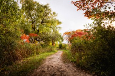 Quebec 'te Güzel Sonbahar, Kanada 2023
