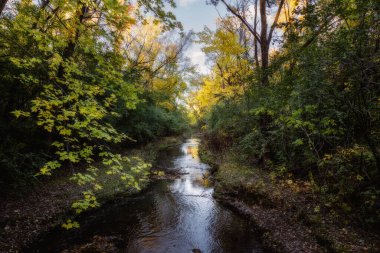 Quebec 'te Güzel Sonbahar, Kanada 2023