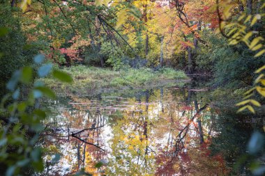 Quebec 'te Güzel Sonbahar, Kanada 2023