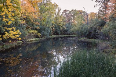 Quebec 'te Güzel Sonbahar, Kanada 2023