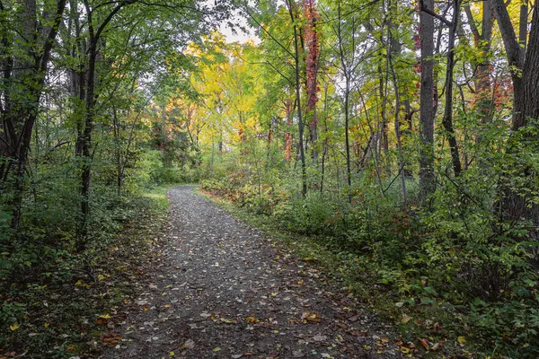 Quebec 'te Güzel Sonbahar, Kanada 2023