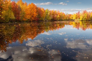 Quebec 'te Güzel Sonbahar, Kanada 2023