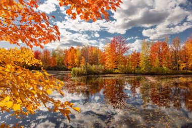 Quebec 'te Güzel Sonbahar, Kanada 2023