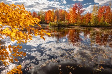 Quebec 'te Güzel Sonbahar, Kanada 2023