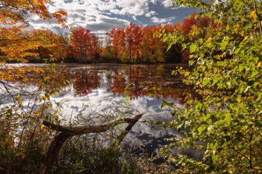 Quebec 'te Güzel Sonbahar, Kanada 2023