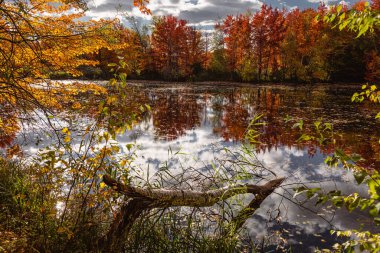 Quebec 'te Güzel Sonbahar, Kanada 2023