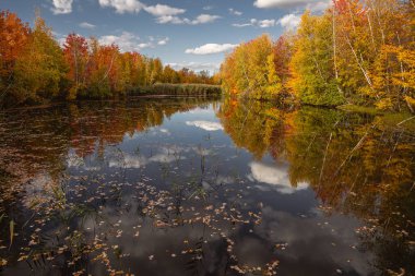 Quebec 'te Güzel Sonbahar, Kanada 2023