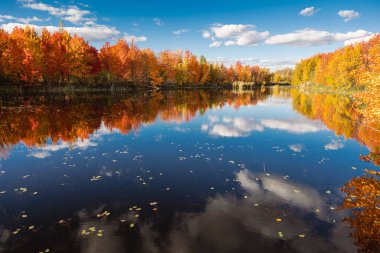 Quebec 'te Güzel Sonbahar, Kanada 2023