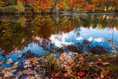 Quebec 'te Güzel Sonbahar, Kanada 2023