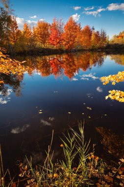 Quebec 'te Güzel Sonbahar, Kanada 2023