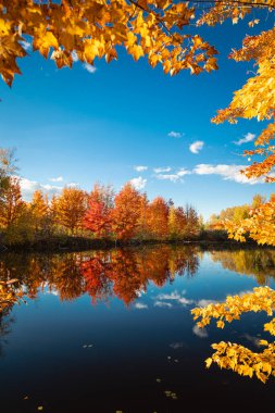 Quebec 'te Güzel Sonbahar, Kanada 2023