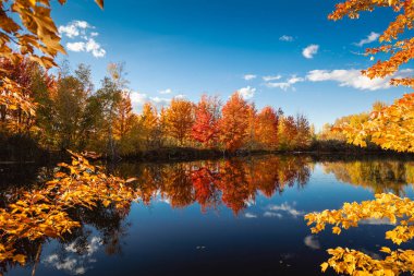 Quebec 'te Güzel Sonbahar, Kanada 2023