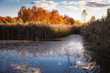 Quebec 'te Güzel Sonbahar, Kanada 2023