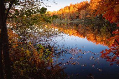 Quebec 'te Güzel Sonbahar, Kanada 2023
