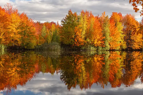 Όμορφη Φθινοπωρινή Στιγμή Στο Κεμπέκ Καναδάς 2023 Φωτογραφία Αρχείου