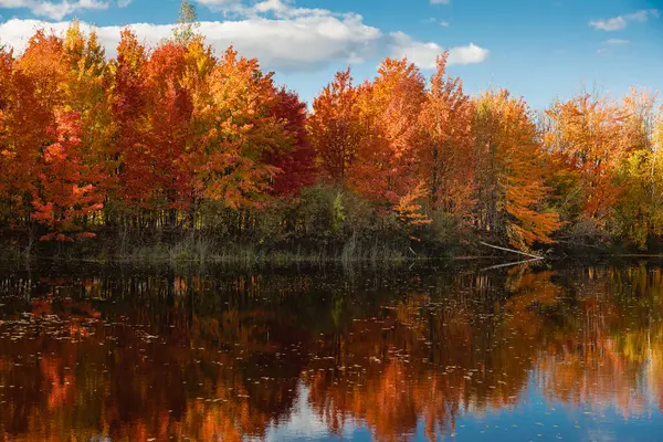 Krásný Podzimní Moment Quebecu Kanada 2023 Stock Obrázky