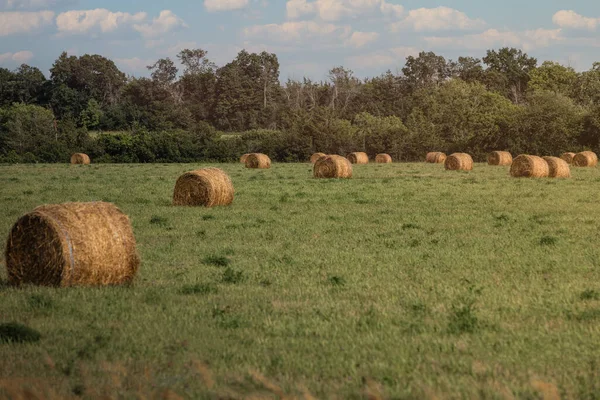 stock image hay bales in the sunset canada