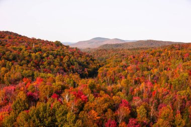 Kanada 'nın Quebec kentindeki Laurentian dağlarındaki kıvrımlı nehir manzarası sonbahar mevsiminde kırmızı, turuncu ve sarı ağaçlarla çevrilidir.