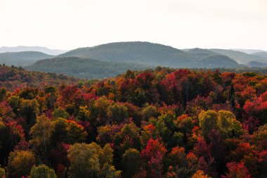 Kanada 'nın Quebec kentindeki Laurentian dağlarındaki kıvrımlı nehir manzarası sonbahar mevsiminde kırmızı, turuncu ve sarı ağaçlarla çevrilidir.