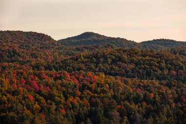 Kanada 'nın Quebec kentindeki Laurentian dağlarındaki kıvrımlı nehir manzarası sonbahar mevsiminde kırmızı, turuncu ve sarı ağaçlarla çevrilidir.
