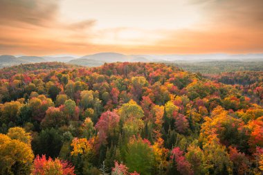 Kanada 'nın Quebec kentindeki Laurentian dağlarındaki kıvrımlı nehir manzarası sonbahar mevsiminde kırmızı, turuncu ve sarı ağaçlarla çevrilidir.