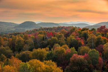 Kanada 'nın Quebec kentindeki Laurentian dağlarındaki kıvrımlı nehir manzarası sonbahar mevsiminde kırmızı, turuncu ve sarı ağaçlarla çevrilidir.