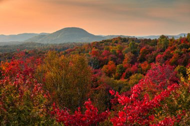 Kanada 'nın Quebec kentindeki Laurentian dağlarındaki kıvrımlı nehir manzarası sonbahar mevsiminde kırmızı, turuncu ve sarı ağaçlarla çevrilidir.