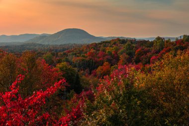 Kanada 'nın Quebec kentindeki Laurentian dağlarındaki kıvrımlı nehir manzarası sonbahar mevsiminde kırmızı, turuncu ve sarı ağaçlarla çevrilidir.