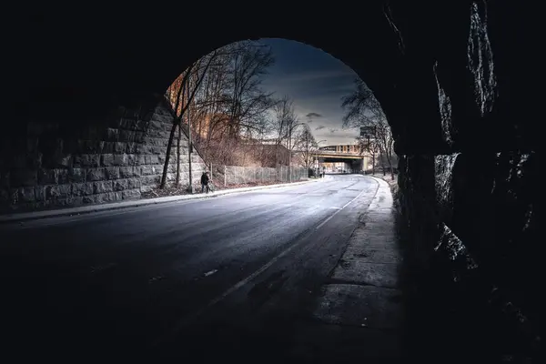 Bir kişi gece, asfalt yol yüzeyine gölgeler düşüren flaşlı fotoğrafçılıkla bir köprünün altında geziniyor. Tek renkli manzara, karanlık gökyüzüne karşı, su yansımaları ile kurulmuş.