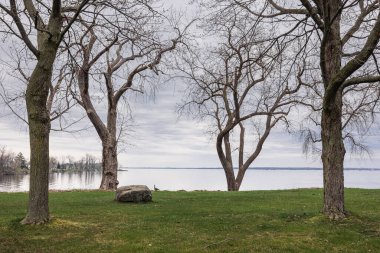 Çimenli bir tarlanın ortasında sakin bir su birikintisi manzarası. Arka planda ağaçlar, doğal elementler ve sakin bir manzara.