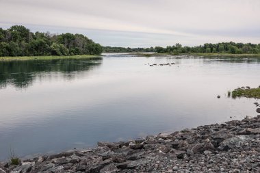 Arka planda ağaçlar olan bir gölde kayalık bir kıyı şeridi, bulutlu bir gökyüzünün altındaki suların kenarında doğal bir manzara tasvir ediyor.