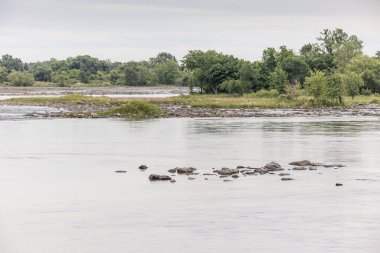 Arka planda ağaçlar olan bir gölde kayalık bir kıyı şeridi, bulutlu bir gökyüzünün altındaki suların kenarında doğal bir manzara tasvir ediyor.