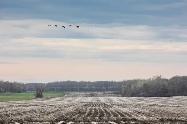 Bulutlu bir gökyüzünün altında merkezinde su birikintisi olan çamurlu bir arazide su ve çayır gibi doğal elementlerin güzelliğini gözler önüne seren bir kırsal alan.