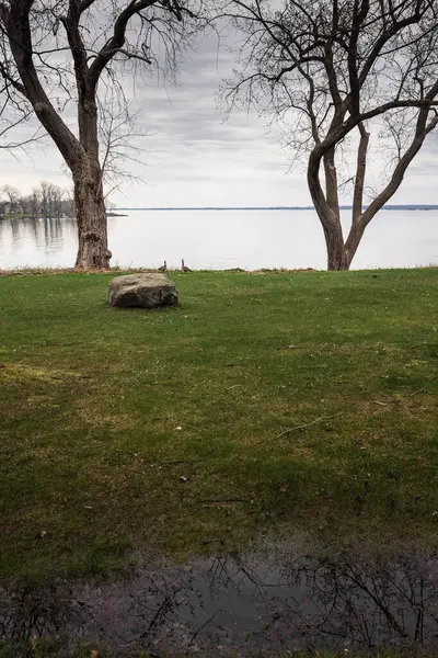 Çimenli bir tarlanın ortasında sakin bir su birikintisi manzarası. Arka planda ağaçlar, doğal elementler ve sakin bir manzara.