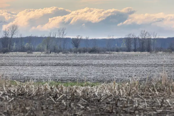 Bulutlu bir gökyüzünün altında merkezinde su birikintisi olan çamurlu bir arazide su ve çayır gibi doğal elementlerin güzelliğini gözler önüne seren bir kırsal alan.