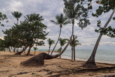 Dominik Cumhuriyeti Puerto Plata bölgesinin güzel manzarası