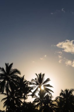 Dominik Cumhuriyeti Puerto Plata bölgesinin güzel manzarası