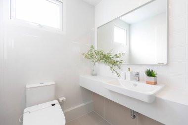 Tuvaleti ve lavabosu olan, cam vazosu olan ve tezgahında yeşil bitkisi olan modern beyaz bir banyo..