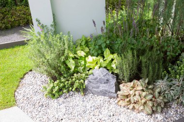 Güzel yeşil izin ve çiçeklerle dekore edilmiş bir evin bahçesinde..