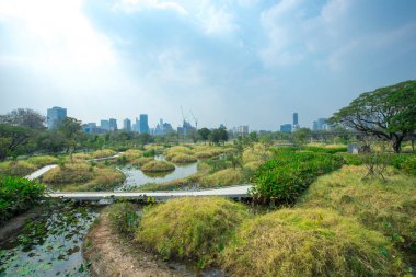 Benjakitti Orman Parkı, Bangkok 'un orta kesiminde Tayland' da yeni bir parktır..